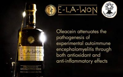 Oleacein attenuates the pathogenesis of experimental autoimmune encephalomyelitis through both antioxidant and anti-inflammatory effects
